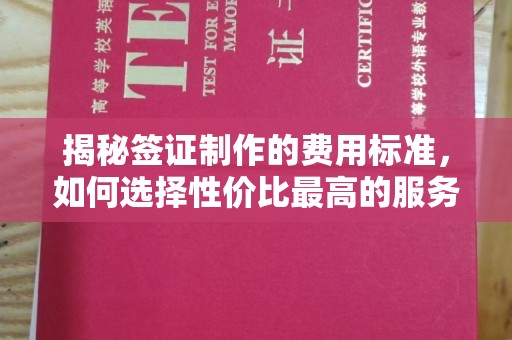 北海新区揭秘签证制作的费用标准，如何选择性价比最高的服务？