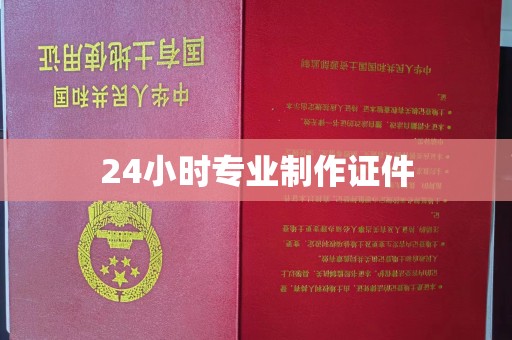 北海新区24小时专业制作证件