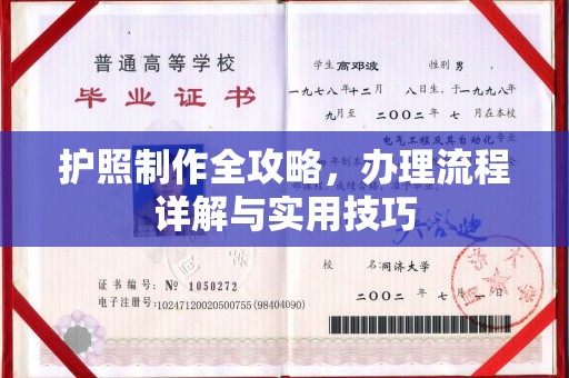 北海新区护照制作全攻略，办理流程详解与实用技巧